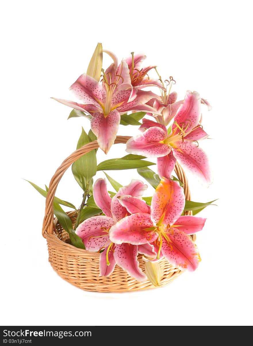 Lilies in a basket