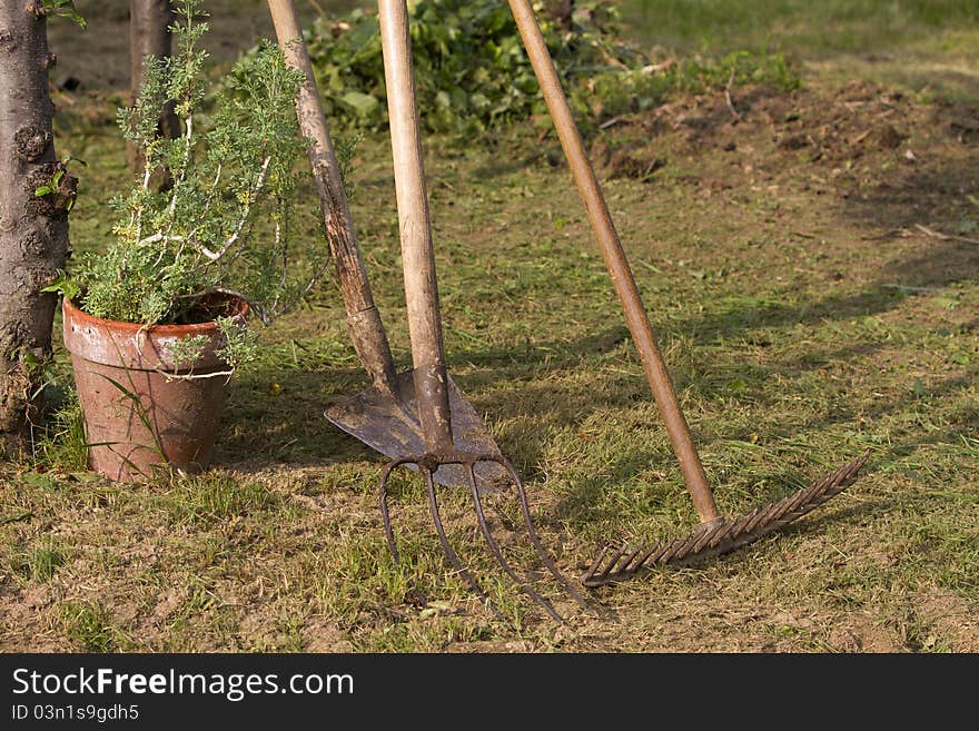 Rake and hoe in a garden. Rake and hoe in a garden