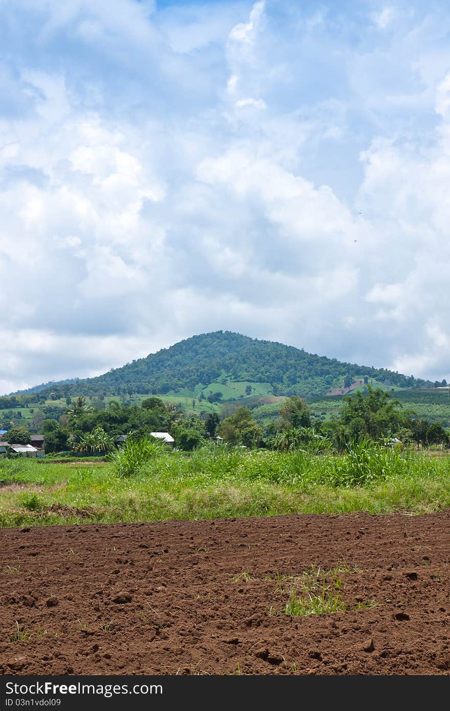 Ploughed field