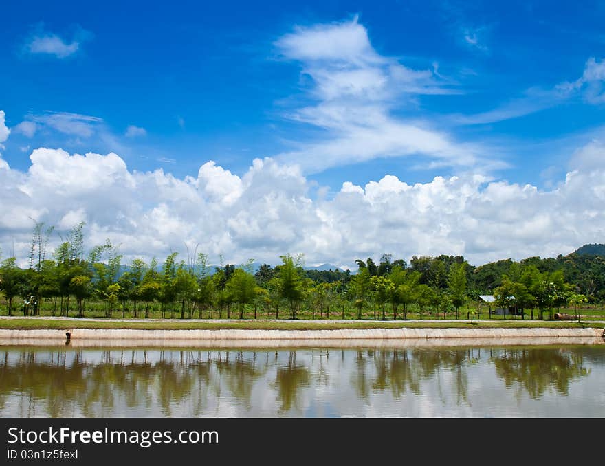 The river with a quiet current and clouds