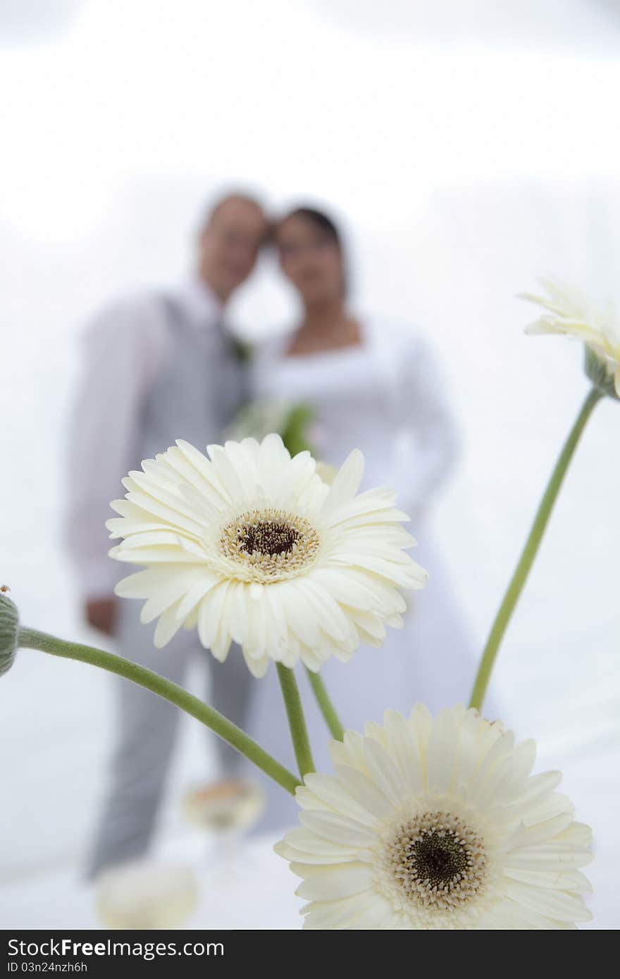 Wedding happy couple and white marguerite