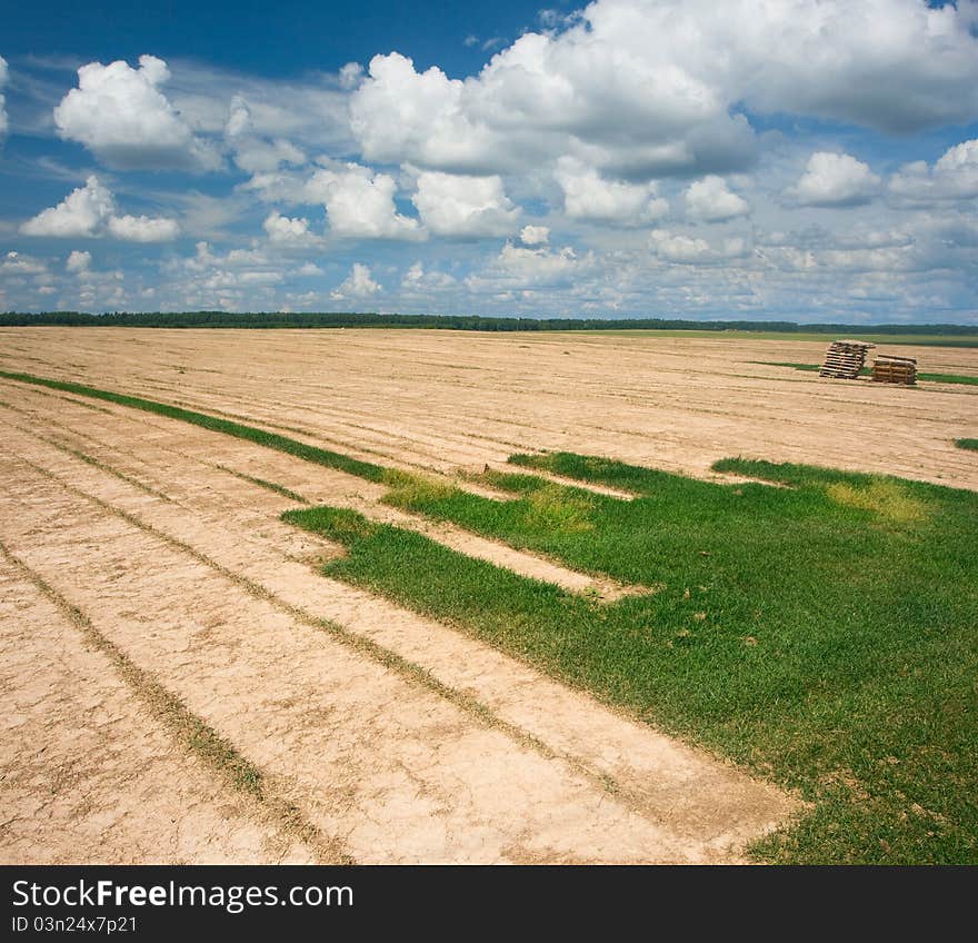 The fields for the production of rolled turf. The fields for the production of rolled turf