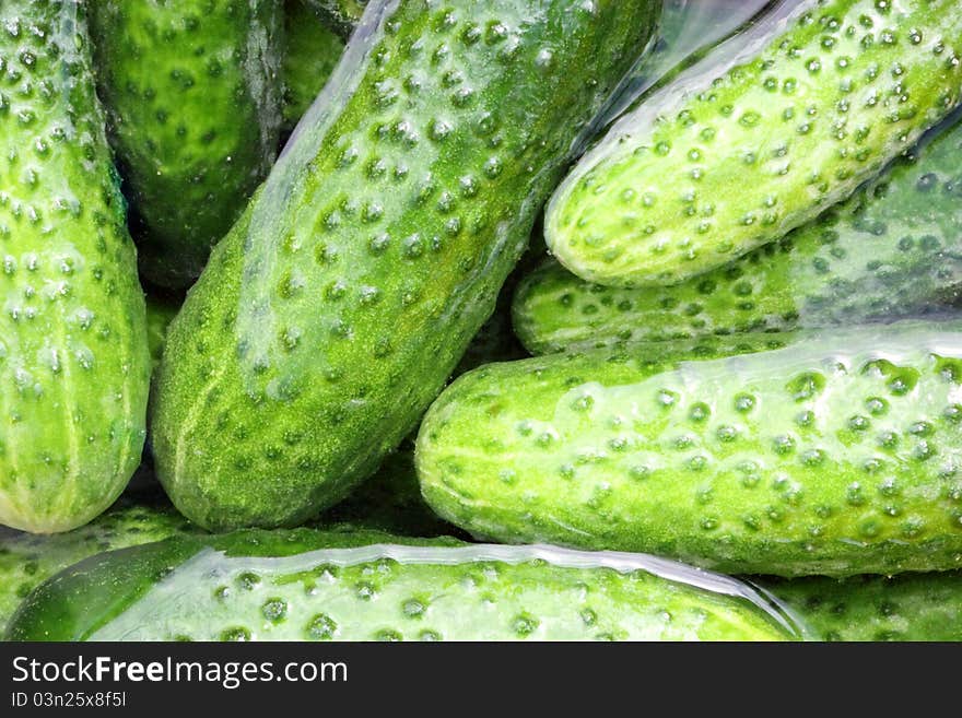 Some cucumbers in the water