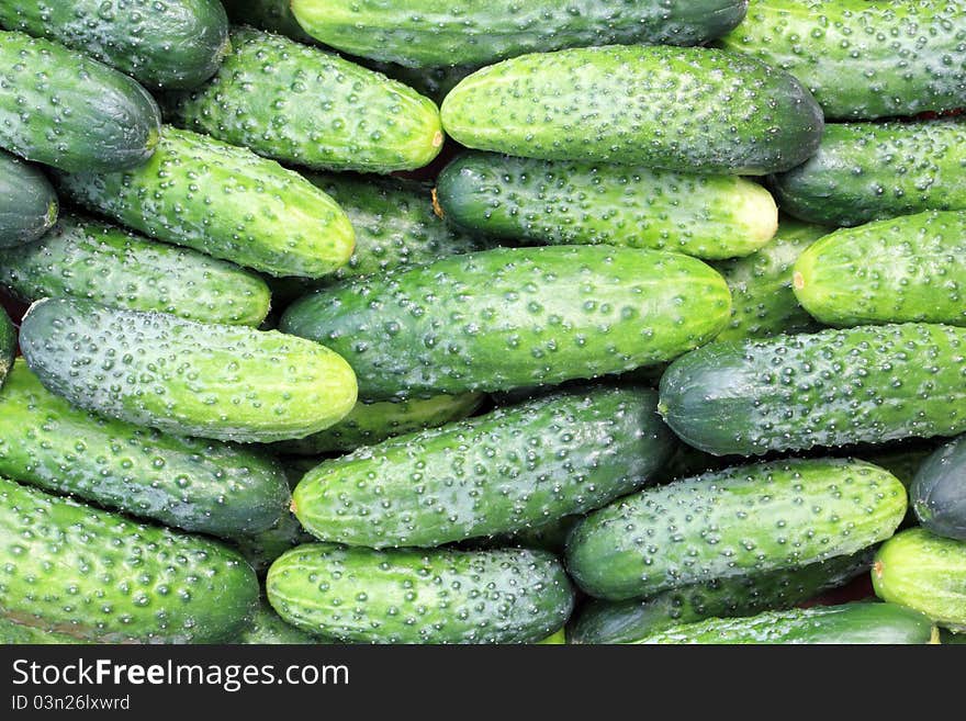 Some Cucumbers