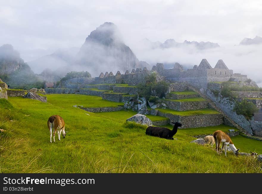 Machu Pichu