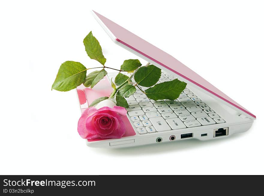 Pink netbook with a rose on the keyboard on a white background. Pink netbook with a rose on the keyboard on a white background