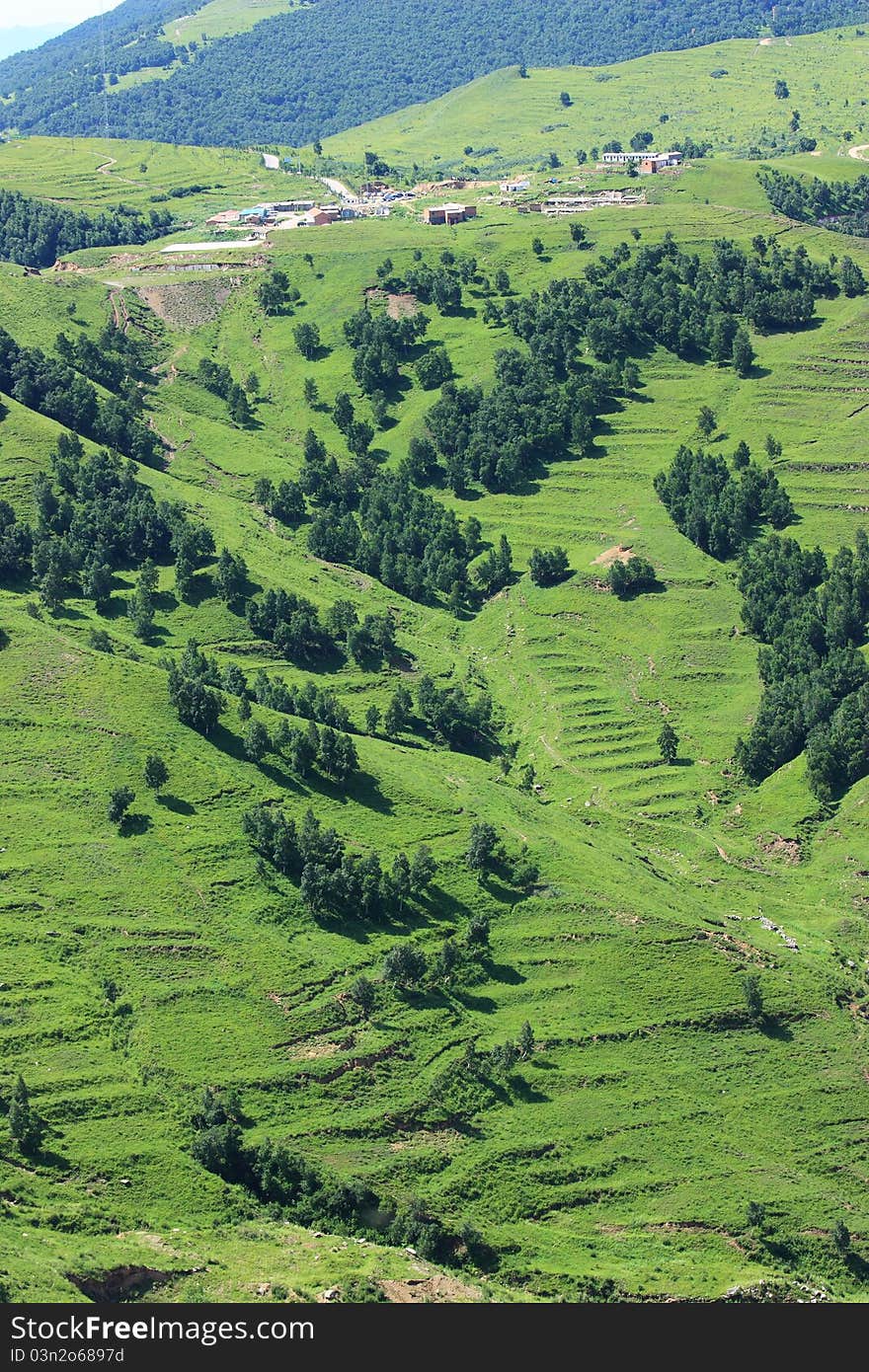 Grassland in mountain