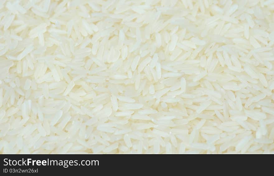 Rice