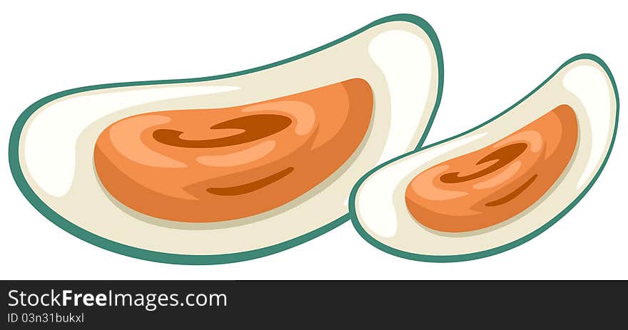 Illustration of isolated mussel on white background