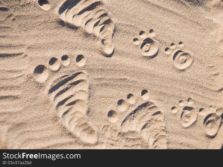 Footprints in the sand