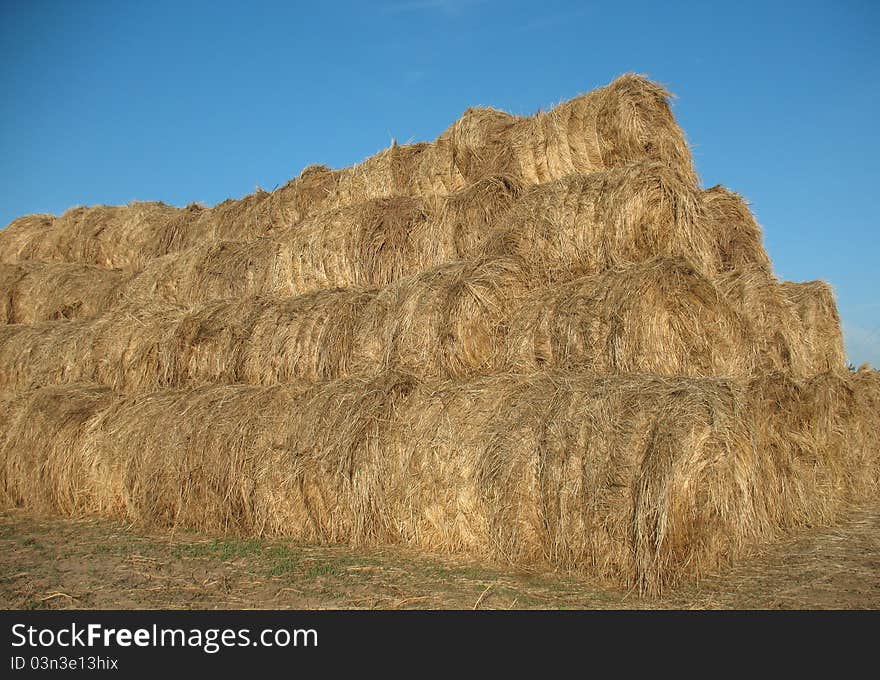 Straw, collected from the field and placed on a rustic courtyard. Straw, collected from the field and placed on a rustic courtyard