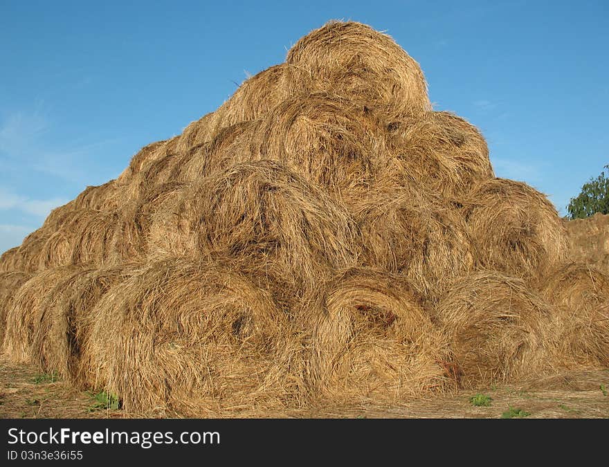 Straw, collected from the field and placed on a rustic courtyard. Straw, collected from the field and placed on a rustic courtyard