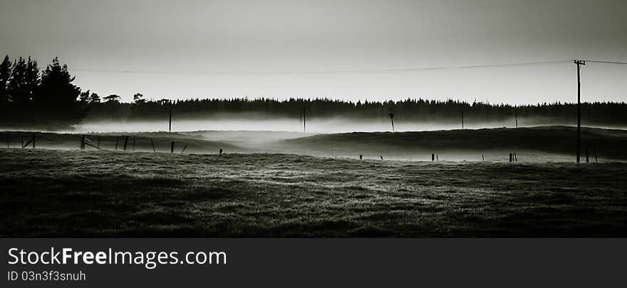 Morning mist over field at sun rise