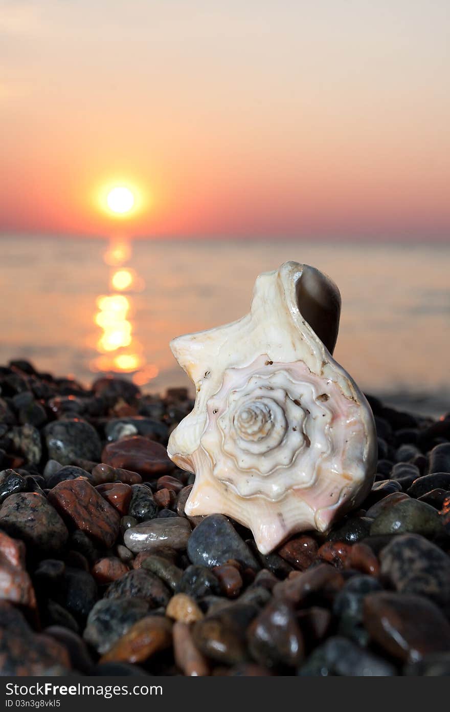 Dark and colorful sunrise with a shell in the forefront. Dark and colorful sunrise with a shell in the forefront