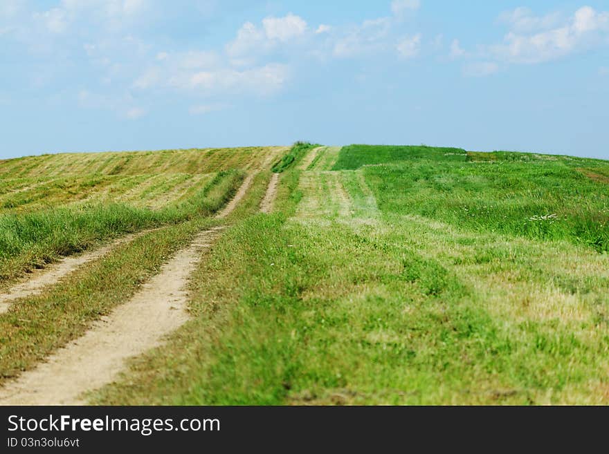 Green field under blue sky