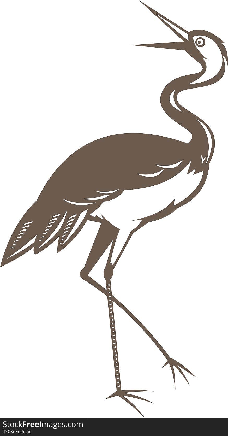 Illustration of a Crane looking up done in retro woodcut style on isolated white background. Illustration of a Crane looking up done in retro woodcut style on isolated white background