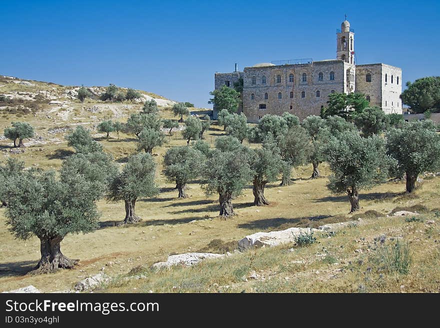 St. Elias monastery of Jerusalem in typical biblical landscape with olive trees. St. Elias monastery of Jerusalem in typical biblical landscape with olive trees