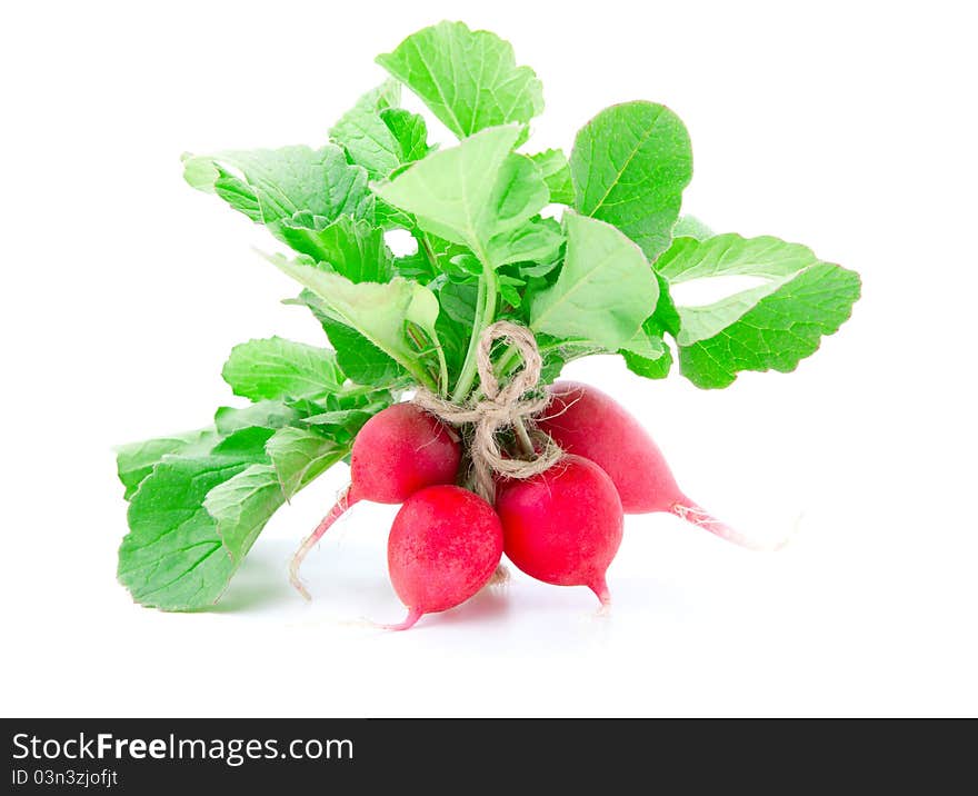 Bunch Of Fresh Radish With Leaves