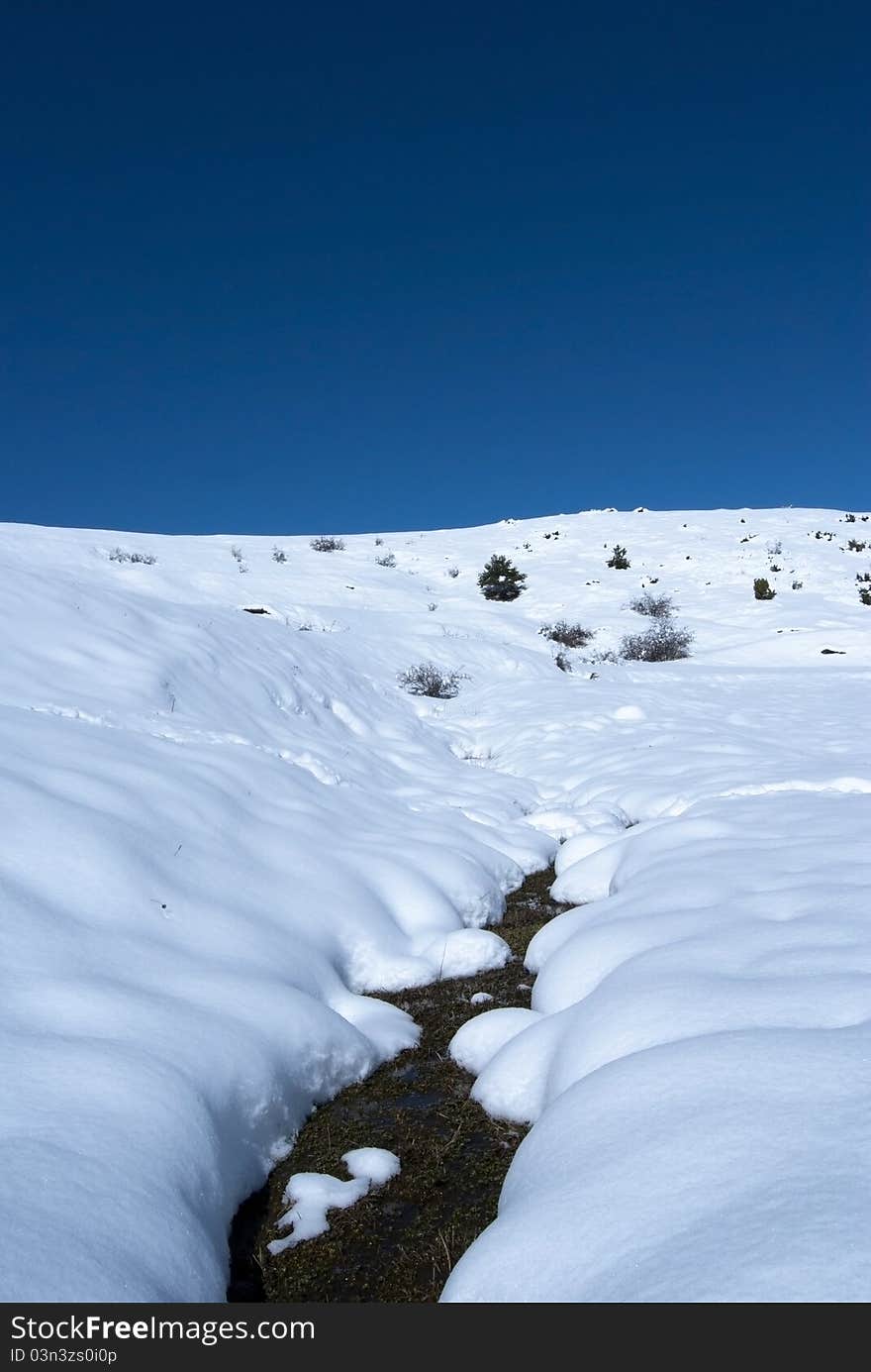 Winter landscape