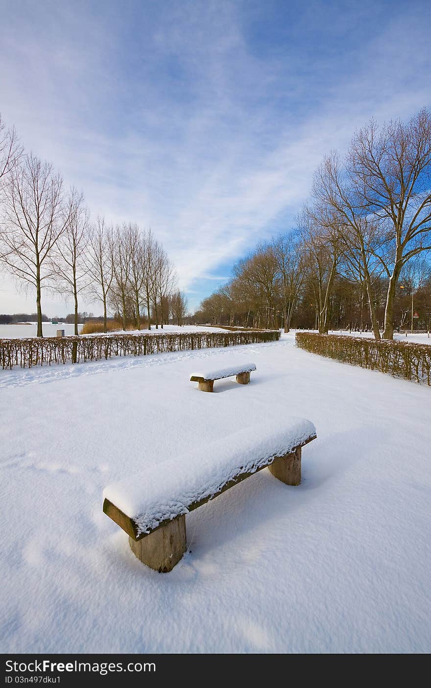 Benches in the snow, beside a lake.