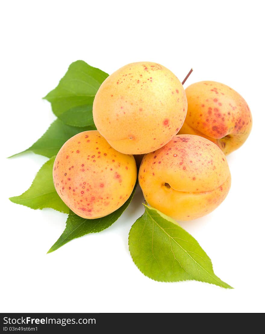 Apricots