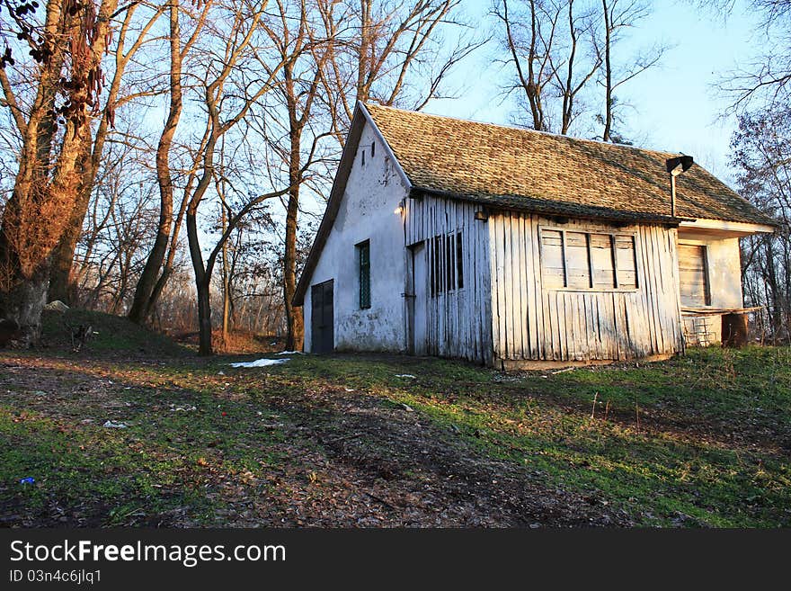 House In Woods