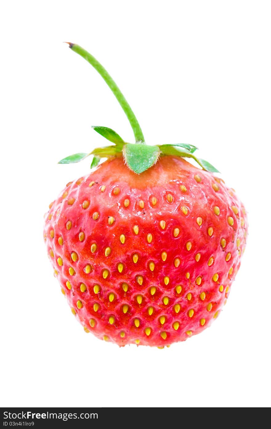 Photo of one red ripe strawberry (on a white background)