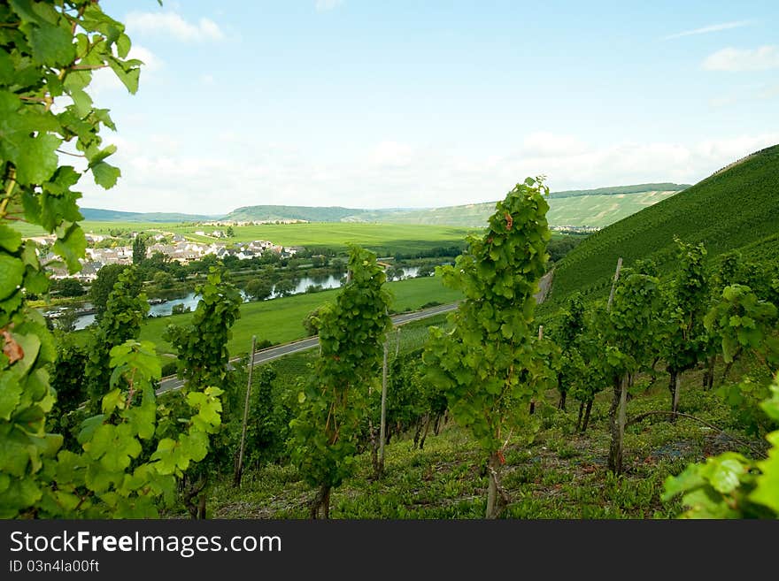 Moselle valley