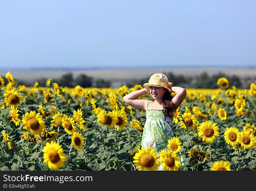 The Girl And Sunflowers