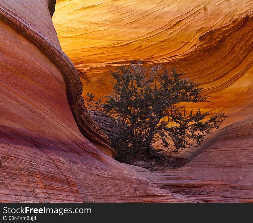 Abstract patterns carved into the walls of Antelope Canyon. Abstract patterns carved into the walls of Antelope Canyon