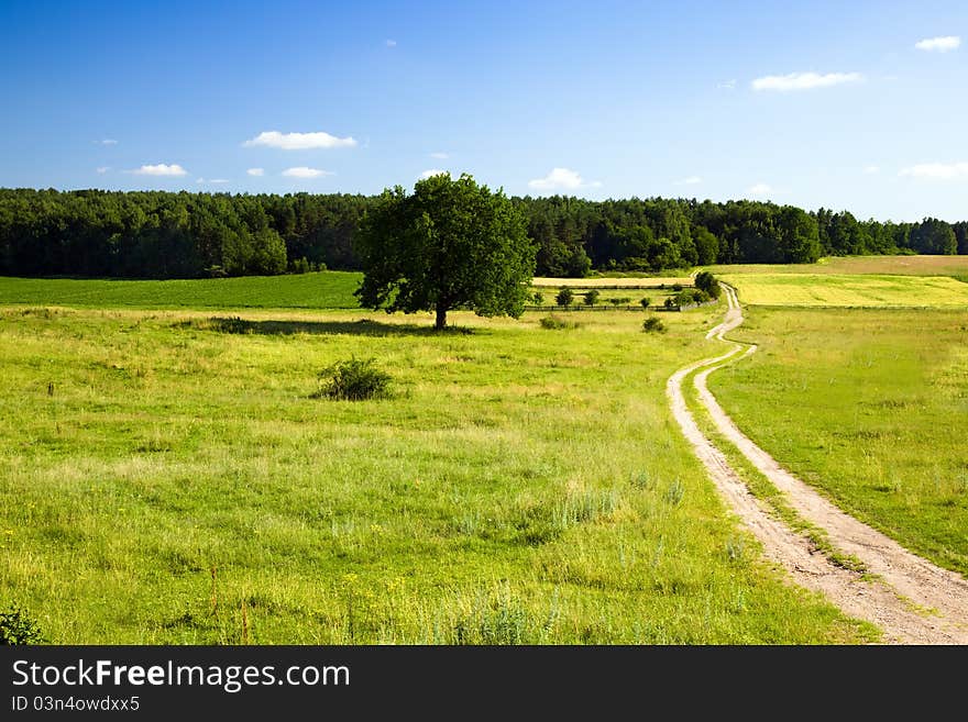 Road leaving in the field