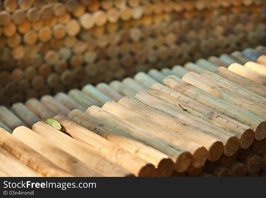 Aligned Timber Logs