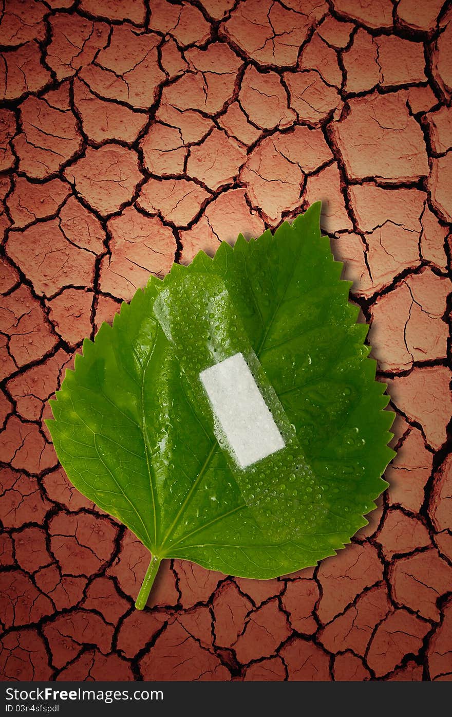 Eco ecology or nature protection concept with leaf and bandage on dry soil arid areas background