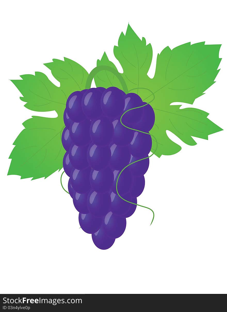 Big grape