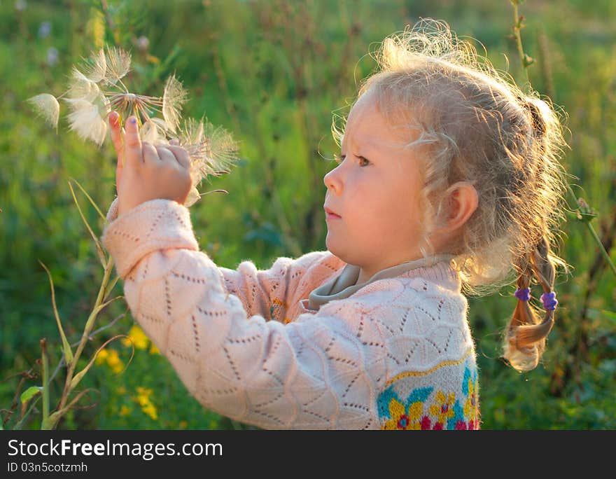 Little girl holding a large dandelion. Little girl holding a large dandelion.