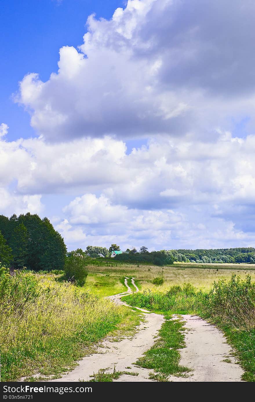 Country road through uncared fields. Country road through uncared fields