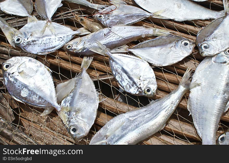 Fresh fish drying on a fishing net