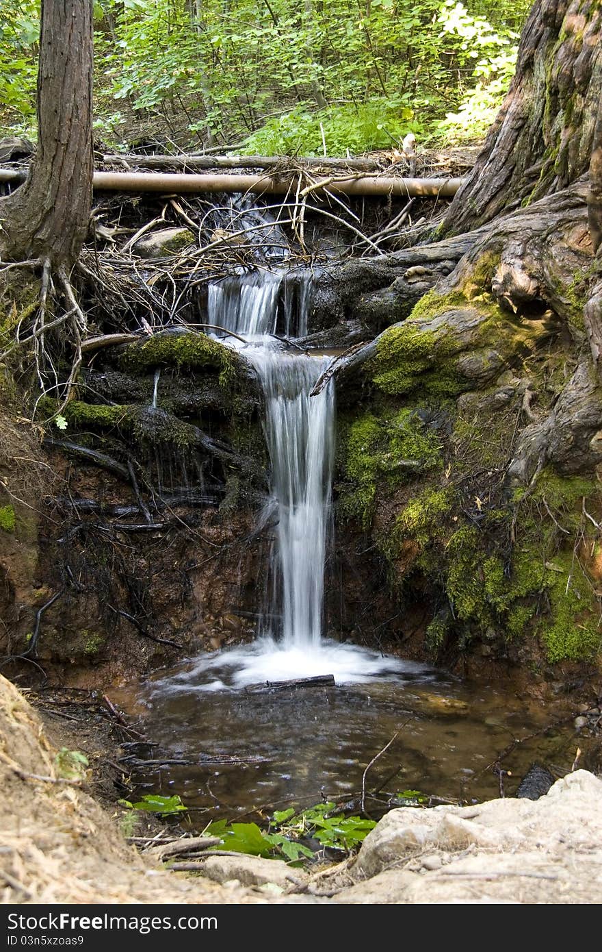 Small waterfall among tree roots