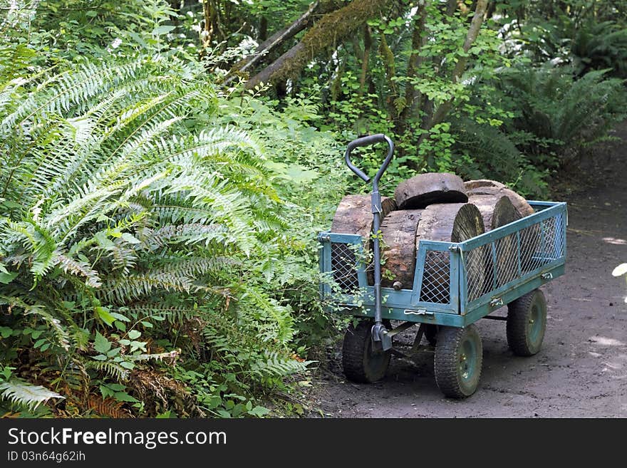 Outdoor metal cart carrying wood blocks cut from a tree trunk in a natural forest area. Outdoor metal cart carrying wood blocks cut from a tree trunk in a natural forest area.