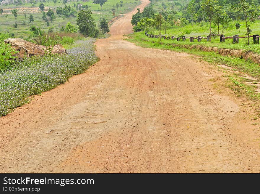 Pathway soil road in the rural. Pathway soil road in the rural