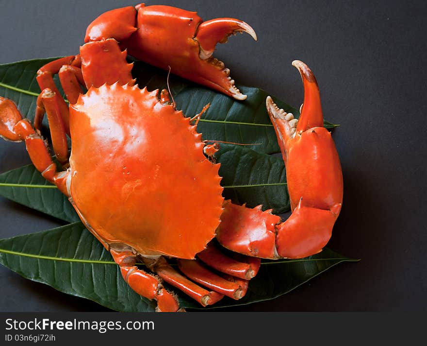 This is a red, big crabs, it fresh, delicious.