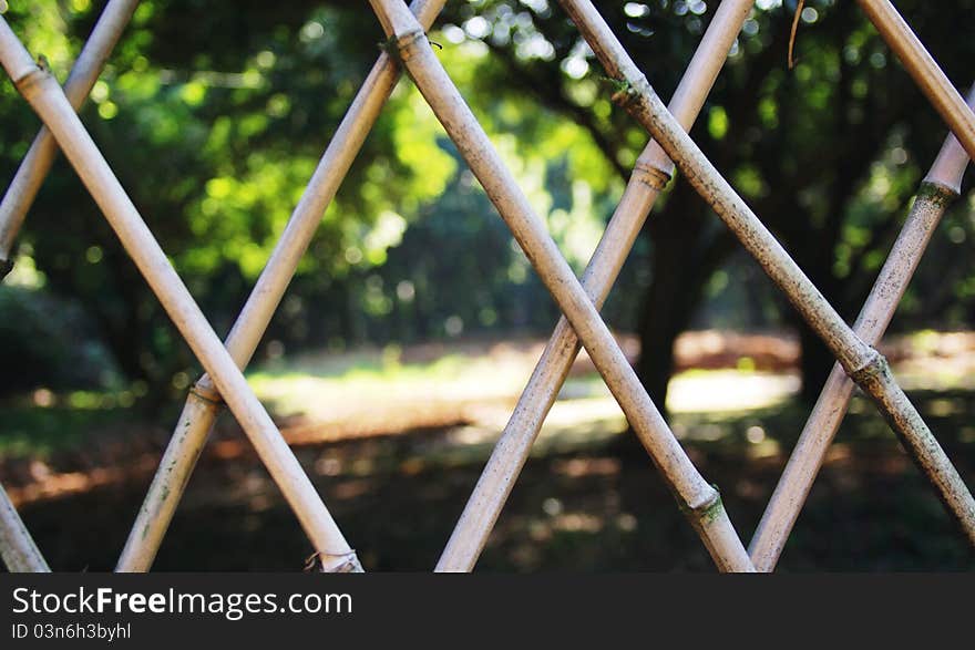 Summer park bamboo fence closeup. Summer park bamboo fence closeup