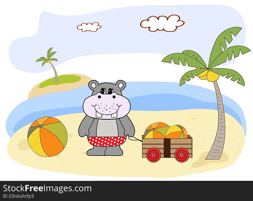 Hippo plays on the beach