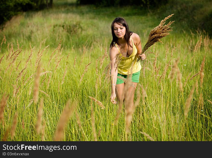 Young Woman In Yellow Clothes Enjoying Picking Wil