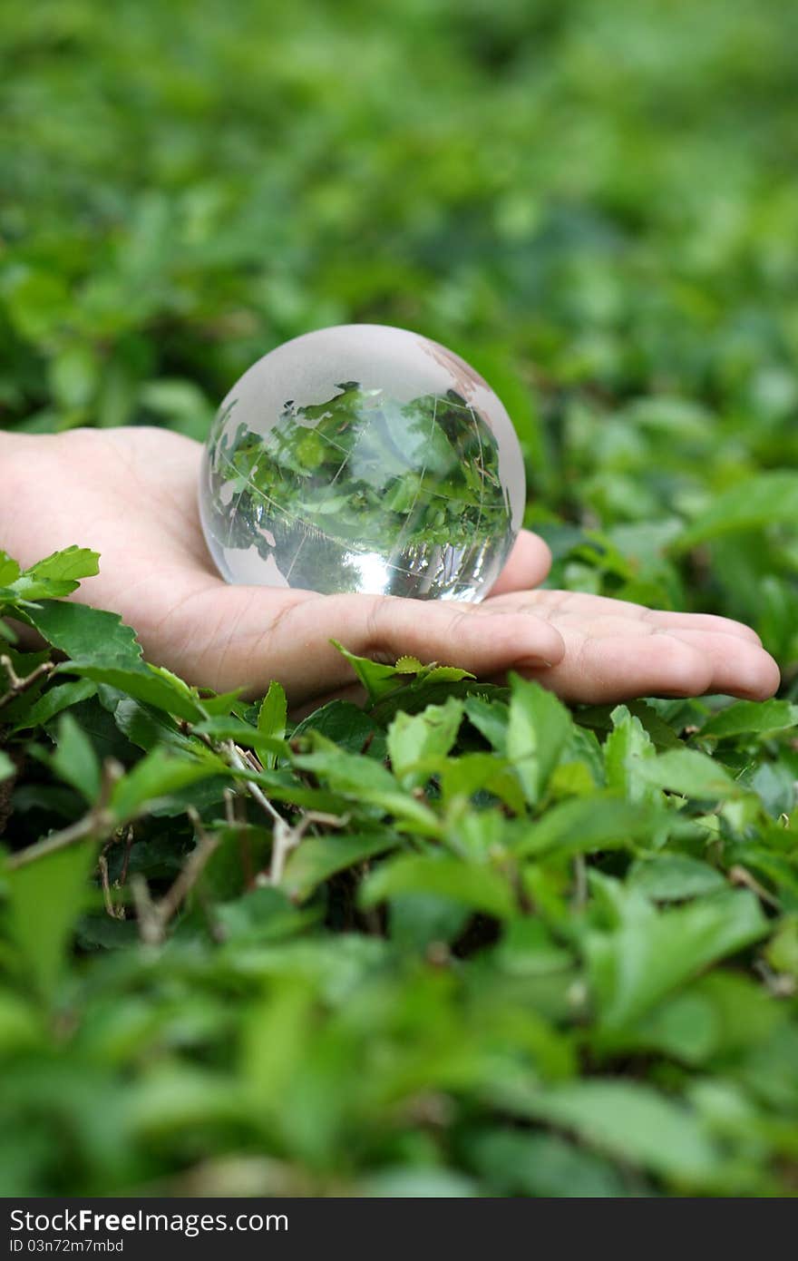 Hand with crystal globe isolated in green leaves background