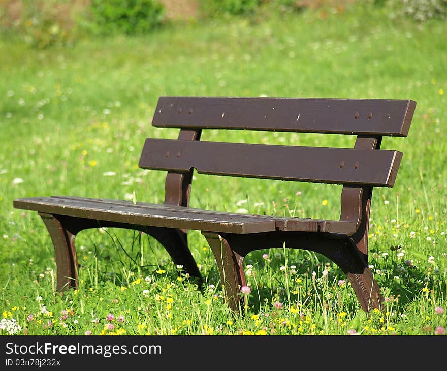 Bench on grass in the garden