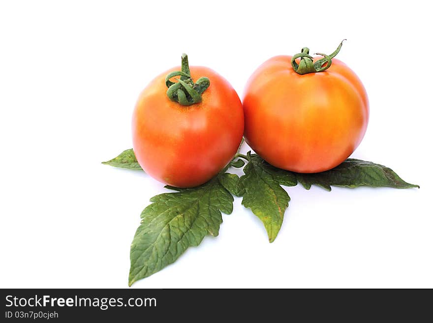 Fresh tomatoes on a white background close-up isolated