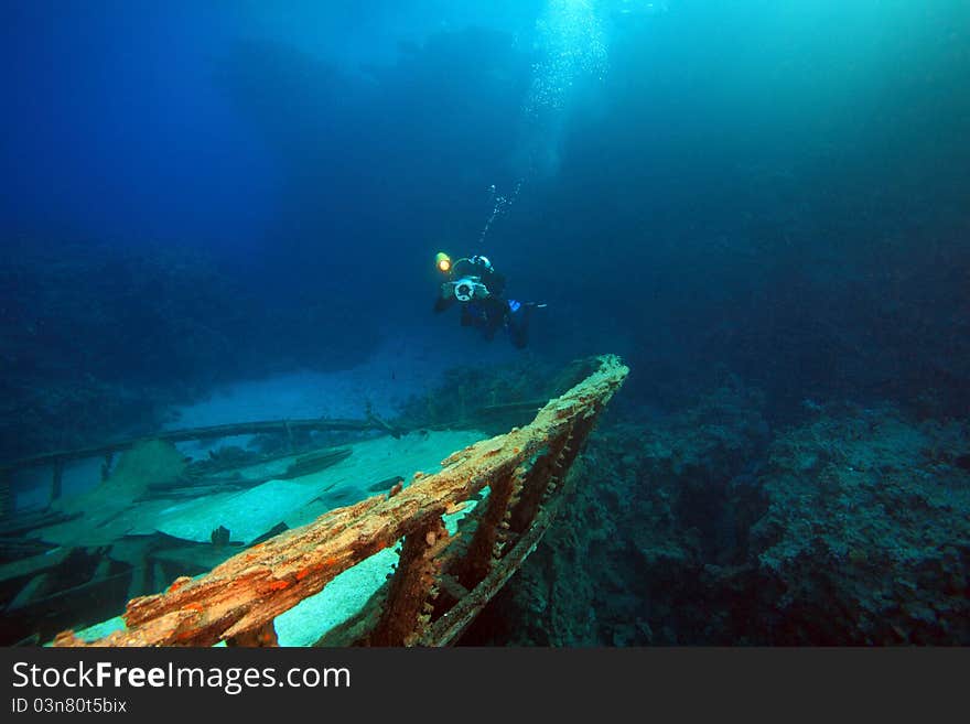 Diving in the Red Sea