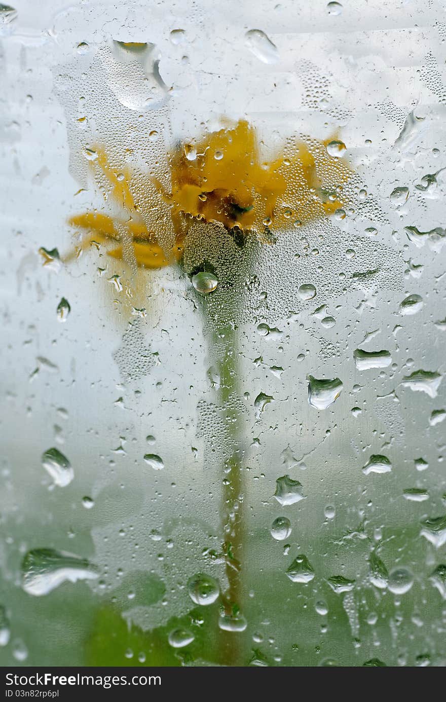 Remove the cover, flowers, glasses perched on the water. Remove the cover, flowers, glasses perched on the water.