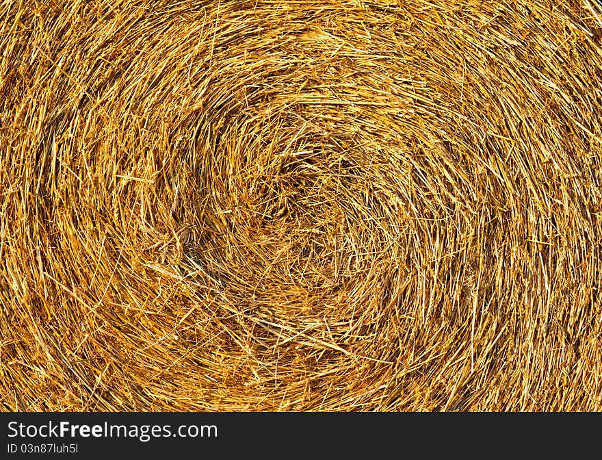 Round hay bale a sunny day